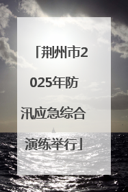 荆州市2025年防汛应急综合演练举行
