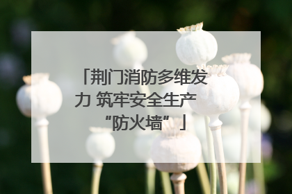 荆门消防多维发力 筑牢安全生产“防火墙”