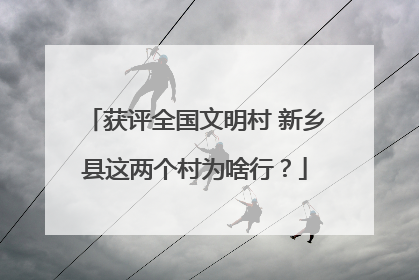 获评全国文明村 新乡县这两个村为啥行？