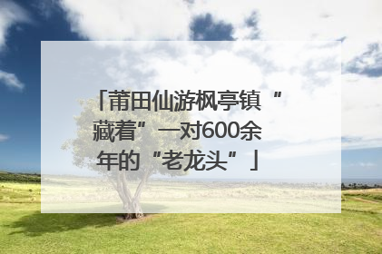 莆田仙游枫亭镇“藏着”一对600余年的“老龙头”