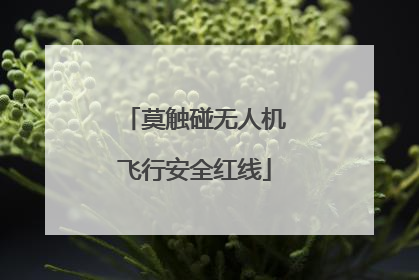 莫触碰无人机飞行安全红线