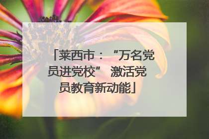 莱西市：“万名党员进党校” 激活党员教育新动能