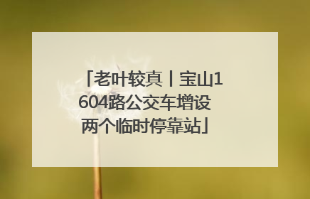 老叶较真丨宝山1604路公交车增设两个临时停靠站