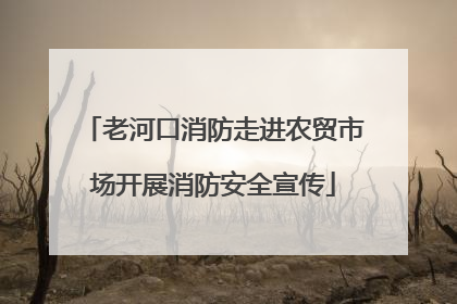 老河口消防走进农贸市场开展消防安全宣传