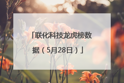 联化科技龙虎榜数据（5月28日）