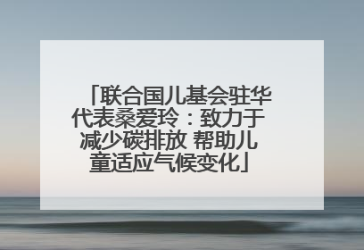 联合国儿基会驻华代表桑爱玲：致力于减少碳排放 帮助儿童适应气候变化