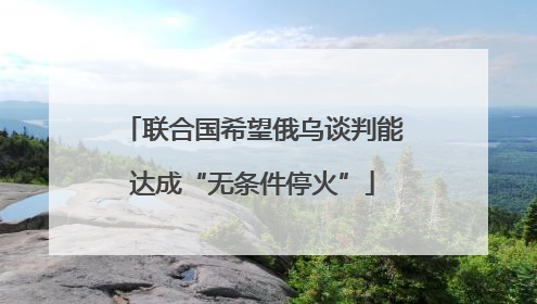联合国希望俄乌谈判能达成“无条件停火”