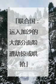 联合国：运入加沙的大部分面粉遭劫掠或哄抢