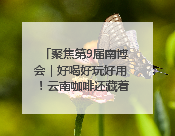 聚焦第9届南博会｜好喝好玩好用！云南咖啡还藏着多少惊喜？