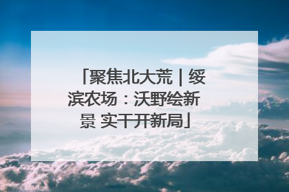 聚焦北大荒｜绥滨农场：沃野绘新景 实干开新局