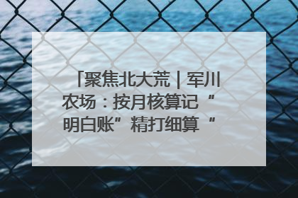 聚焦北大荒｜军川农场：按月核算记“明白账”精打细算“过紧日子”