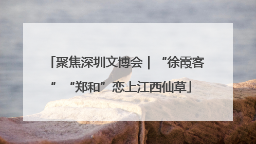 聚焦深圳文博会｜“徐霞客”“郑和”恋上江西仙草