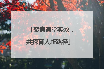 聚焦课堂实效，共探育人新路径