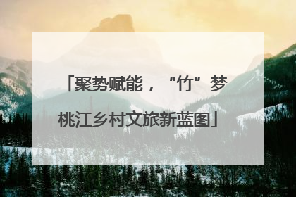 聚势赋能，“竹”梦桃江乡村文旅新蓝图