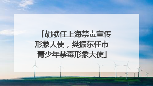 胡歌任上海禁毒宣传形象大使，樊振东任市青少年禁毒形象大使