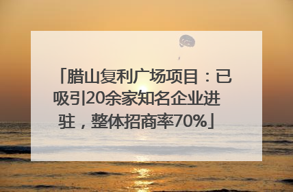 腊山复利广场项目：已吸引20余家知名企业进驻，整体招商率70%