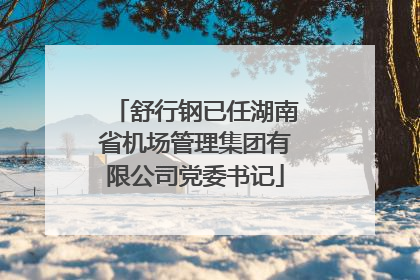 舒行钢已任湖南省机场管理集团有限公司党委书记