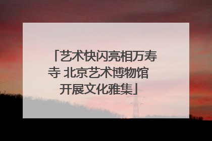 艺术快闪亮相万寿寺 北京艺术博物馆开展文化雅集
