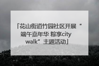 花山街道竹园社区开展“端午嘉年华 粽享city walk”主题活动