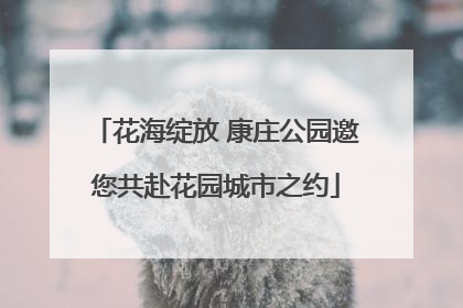 花海绽放 康庄公园邀您共赴花园城市之约