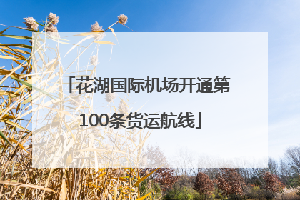 花湖国际机场开通第100条货运航线