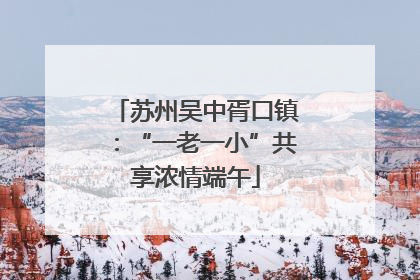 苏州吴中胥口镇：“一老一小”共享浓情端午