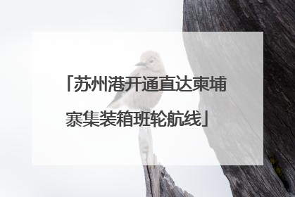 苏州港开通直达柬埔寨集装箱班轮航线