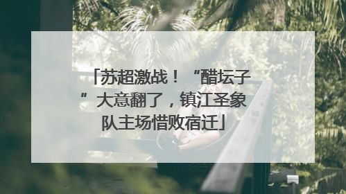 苏超激战！“醋坛子”大意翻了，镇江圣象队主场惜败宿迁