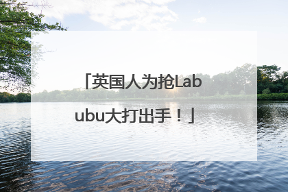 英国人为抢Labubu大打出手！