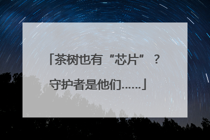 茶树也有“芯片”？守护者是他们……