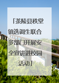 茶陵县秩堂镇选调生联合多部门开展安全宣讲进校园活动