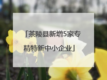茶陵县新增5家专精特新中小企业