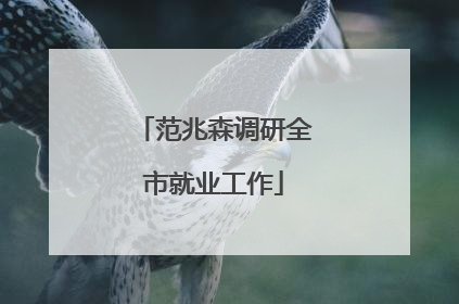 范兆森调研全市就业工作