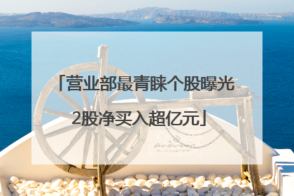营业部最青睐个股曝光 2股净买入超亿元