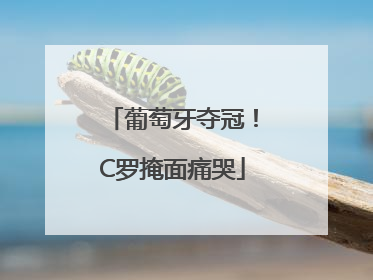 葡萄牙夺冠！C罗掩面痛哭