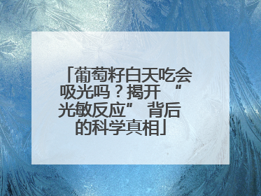 葡萄籽白天吃会吸光吗？揭开 “光敏反应” 背后的科学真相
