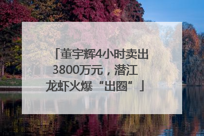 董宇辉4小时卖出3800万元，潜江龙虾火爆“出圈”