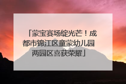 蒙宝赛场绽光芒！成都市锦江区童蒙幼儿园两园区喜获荣耀