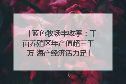 蓝色牧场丰收季：千亩养殖区年产值超三千万 海产经济活力足