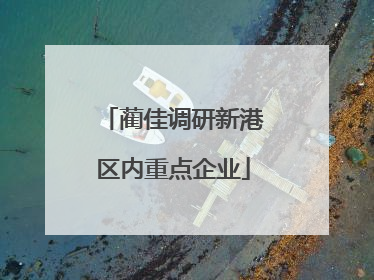 蔺佳调研新港区内重点企业