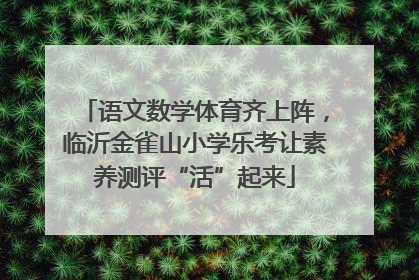 语文数学体育齐上阵，临沂金雀山小学乐考让素养测评“活”起来