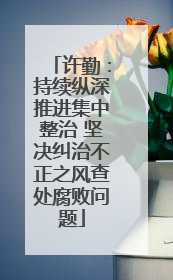 许勤：持续纵深推进集中整治 坚决纠治不正之风查处腐败问题