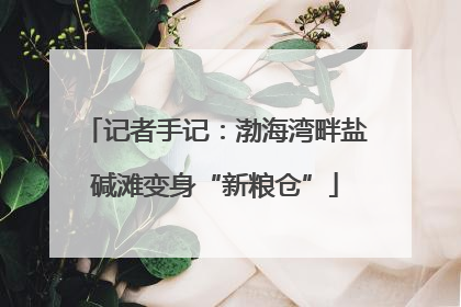 记者手记：渤海湾畔盐碱滩变身“新粮仓”