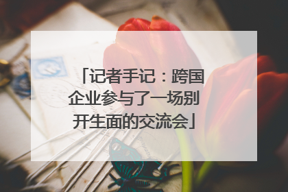 记者手记：跨国企业参与了一场别开生面的交流会