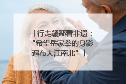 行走赣鄱看非遗：“希望岳家拳的身影遍布大江南北”
