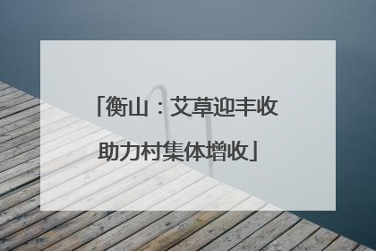 衡山：艾草迎丰收 助力村集体增收