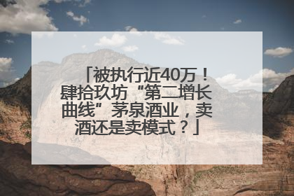 被执行近40万！肆拾玖坊“第二增长曲线”茅泉酒业，卖酒还是卖模式？