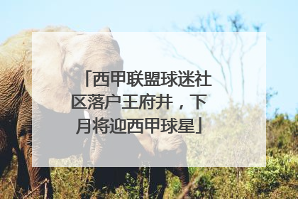 西甲联盟球迷社区落户王府井，下月将迎西甲球星