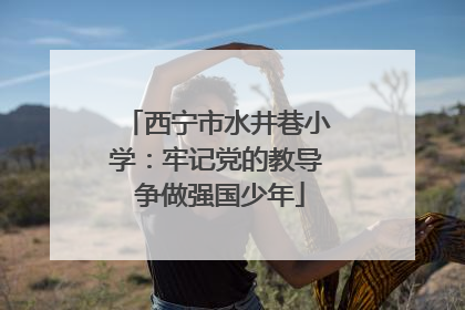 西宁市水井巷小学：牢记党的教导 争做强国少年