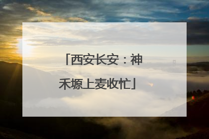 西安长安：神禾塬上麦收忙